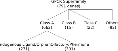File:GPCR classification.svg