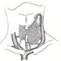 Thumbnail for version as of 17:28, 18 May 2026