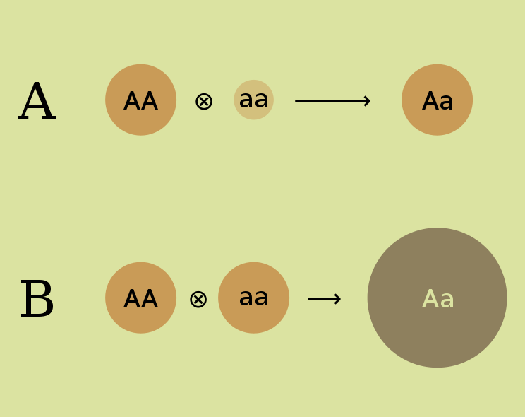 File:Heterosis.svg