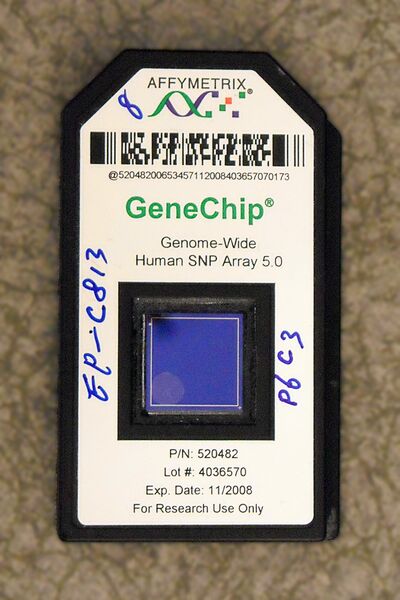 File:Affymetrix 5.0 microarray.jpg