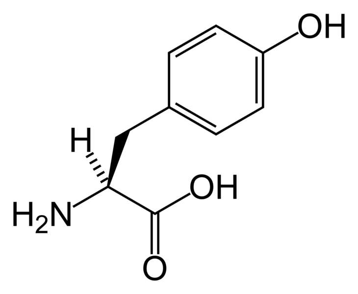 File:L-tyrosine-skeletal.png