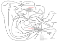 Thumbnail for version as of 03:18, 5 June 2026