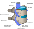 Thumbnail for version as of 22:13, 18 May 2026