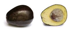 Avocado with cross section