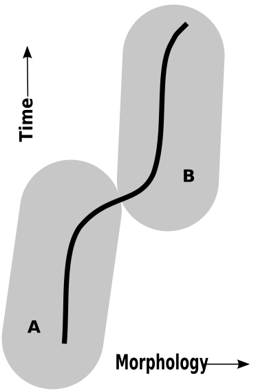 File:Chronospecies.svg