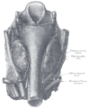 Thumbnail for version as of 17:27, 18 May 2026