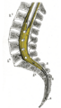 Thumbnail for version as of 17:28, 18 May 2026