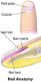 Thumbnail for version as of 01:21, 2 June 2026