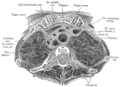 Thumbnail for version as of 17:28, 18 May 2026
