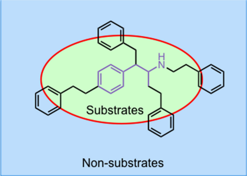 File:Monoamine releasing agent pharmacophore.png