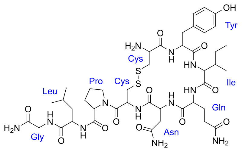 File:Oxytocin.svg