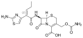 Thumbnail for version as of 11:33, 19 May 2026