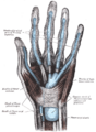 Thumbnail for version as of 17:28, 18 May 2026