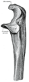 Thumbnail for version as of 17:28, 18 May 2026