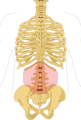 Thumbnail for version as of 03:36, 5 June 2026