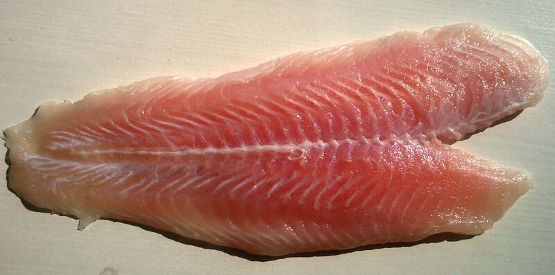 File:Pangasius meat.jpg
