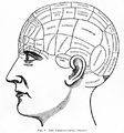 Phrenological organs, 1887