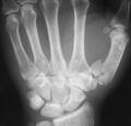 Thumbnail for version as of 09:20, 30 May 2026