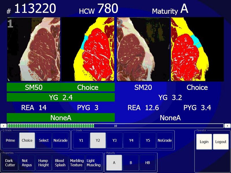File:Beef-grading-screenshot - Flickr - USDAgov.jpg