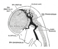 Thumbnail for version as of 17:28, 18 May 2026