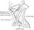 Thumbnail for version as of 17:28, 18 May 2026