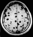 Thumbnail for version as of 12:49, 29 May 2026