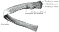 Thumbnail for version as of 17:28, 18 May 2026