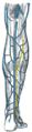 Thumbnail for version as of 17:27, 18 May 2026