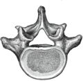 Thumbnail for version as of 17:28, 18 May 2026