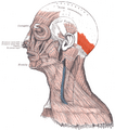 Thumbnail for version as of 13:41, 23 May 2026