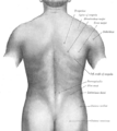Thumbnail for version as of 13:40, 23 May 2026