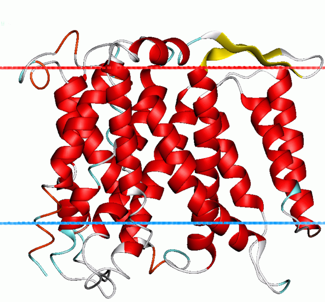 File:1zcd opm.png