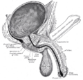 Thumbnail for version as of 03:47, 18 May 2026