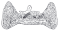 Thumbnail for version as of 17:28, 18 May 2026