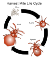 Thumbnail for version as of 22:34, 8 June 2026