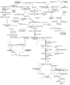 Metabolism of common monosaccharides and related reactions