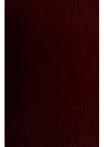 File:Vergleichende Lokalisationslehre der Grosshirnrinde in ihren Prinzipien dargestellt auf Grund des Zellenbaues.pdf