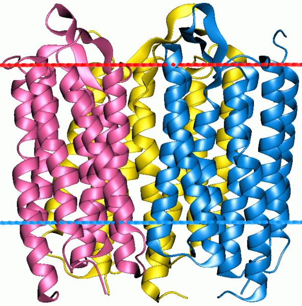 File:1m0l opm.png
