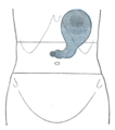 Thumbnail for version as of 17:28, 18 May 2026