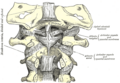 Thumbnail for version as of 17:28, 18 May 2026