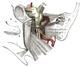 Thumbnail for version as of 17:27, 18 May 2026