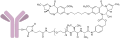 Thumbnail for version as of 16:41, 21 May 2026