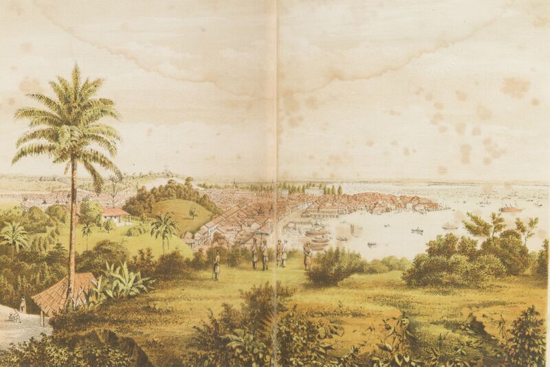 File:Singapore 1865 SLNSW FL15083916.jpg