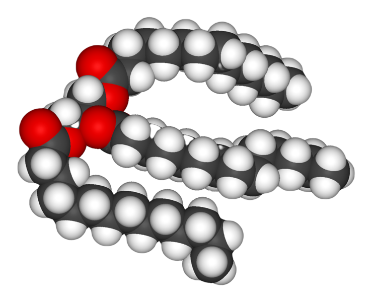 File:Trimyristin-3D-vdW.png