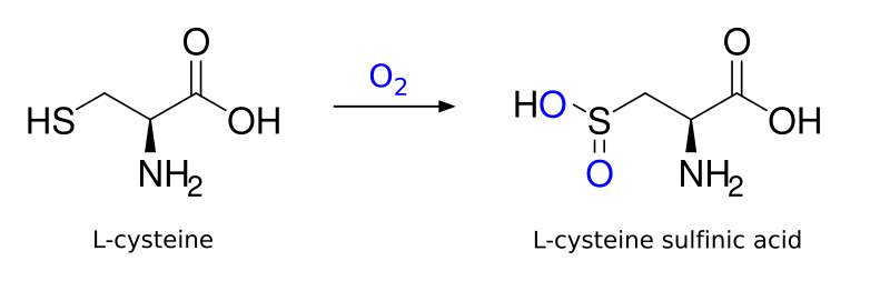 File:Cysteine dioxygenase reaction.svg