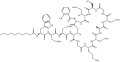 Thumbnail for version as of 16:51, 19 May 2026