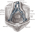 Thumbnail for version as of 17:27, 18 May 2026