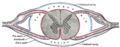 Thumbnail for version as of 17:27, 18 May 2026