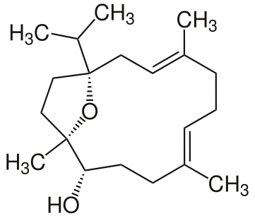 File:Incensole.svg