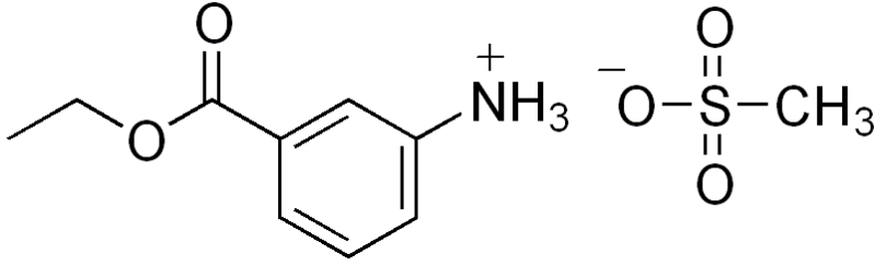 File:Tricaine.png